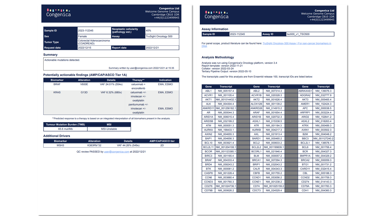 Example_report Example_report